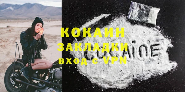 хмурый Каменка