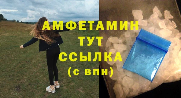 индика Каменск-Шахтинский