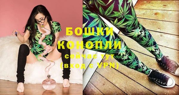 хмурый Каменка