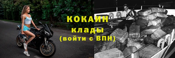 индика Каменск-Шахтинский