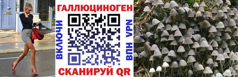 Купить закладки  Калтан  Псилоцибиновые грибы GOLDEN TEACHER 